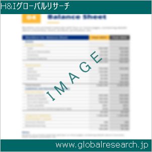 グローバルリサーチ調査レポートのイメージ